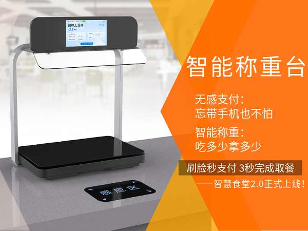 智能稱重臺
